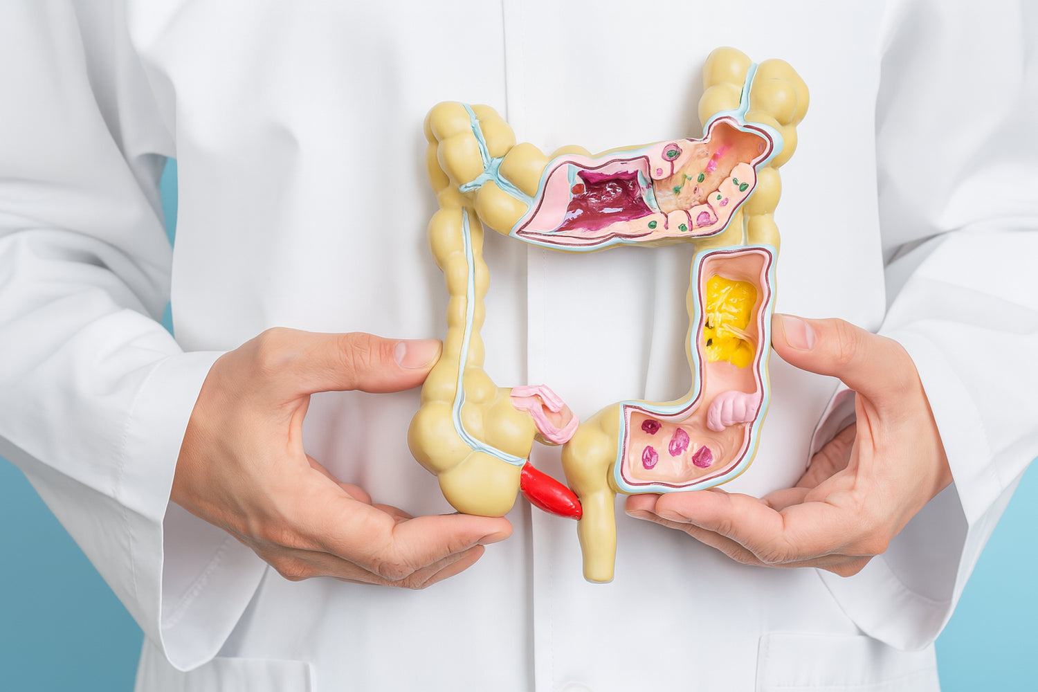 Digestion sereine : les compléments qui font vraiment la différence