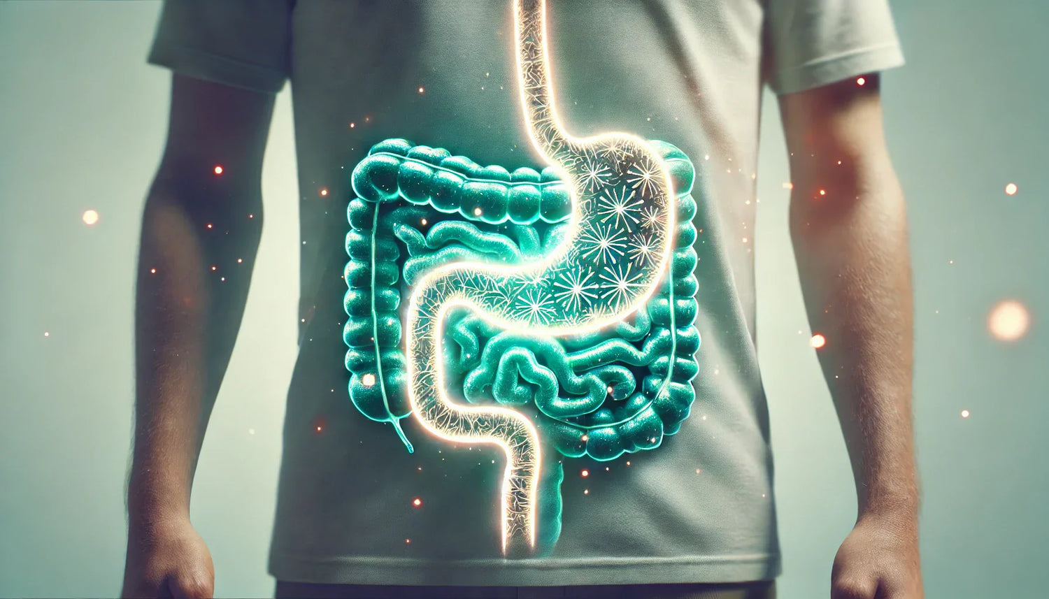 visuel intestin personne