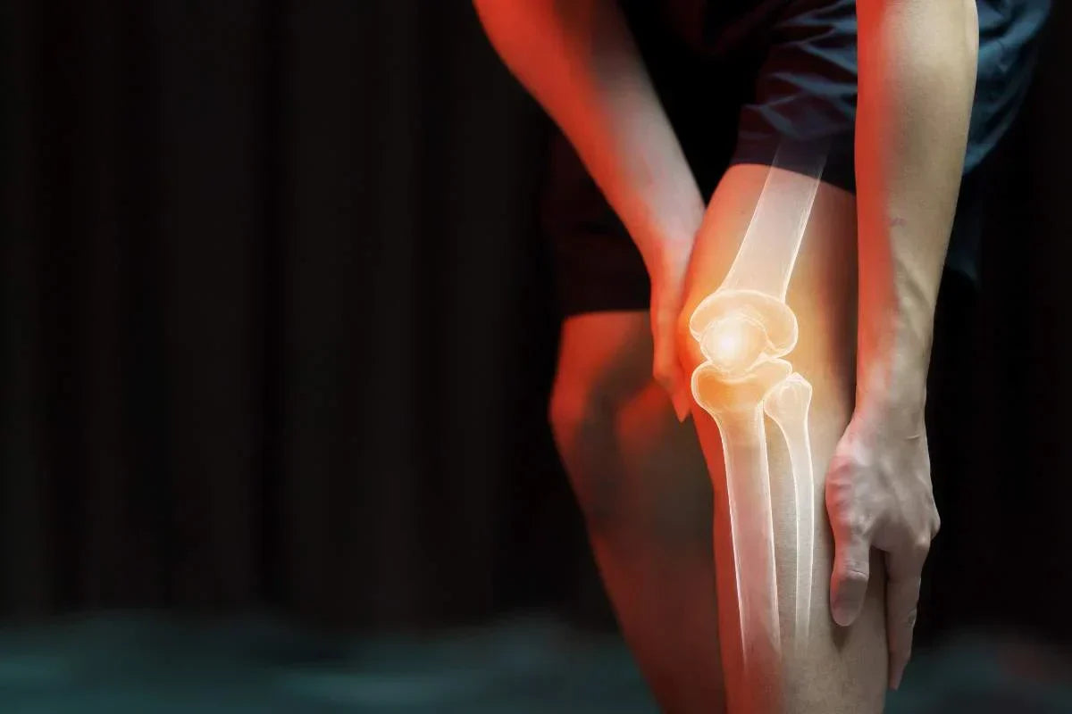 complements alimentaire articulation