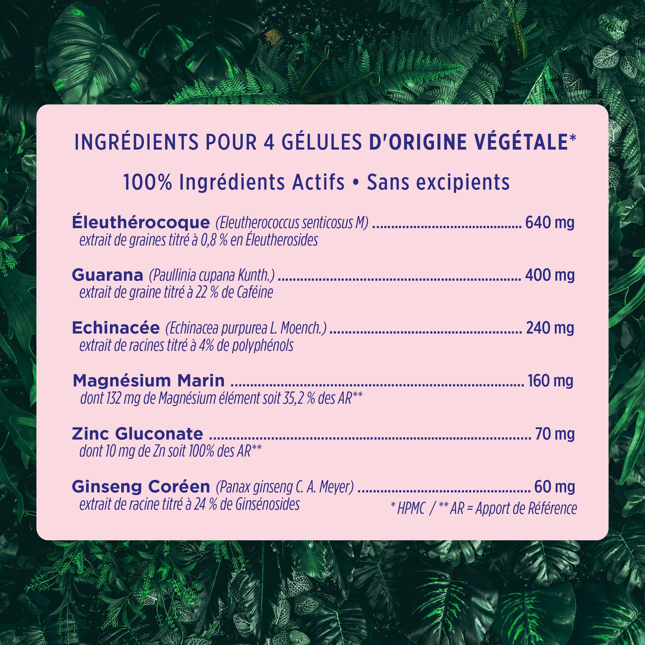 Vitalité & Immunité