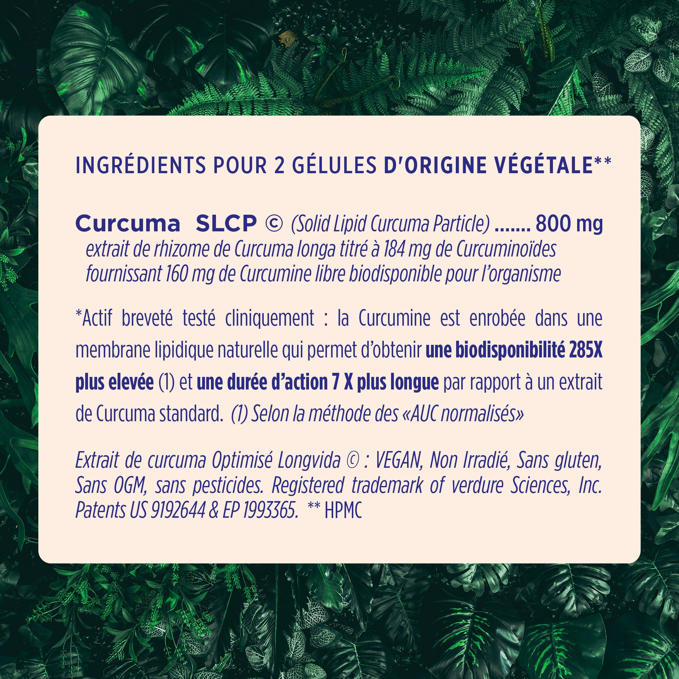 Curcuma Assimilable ®