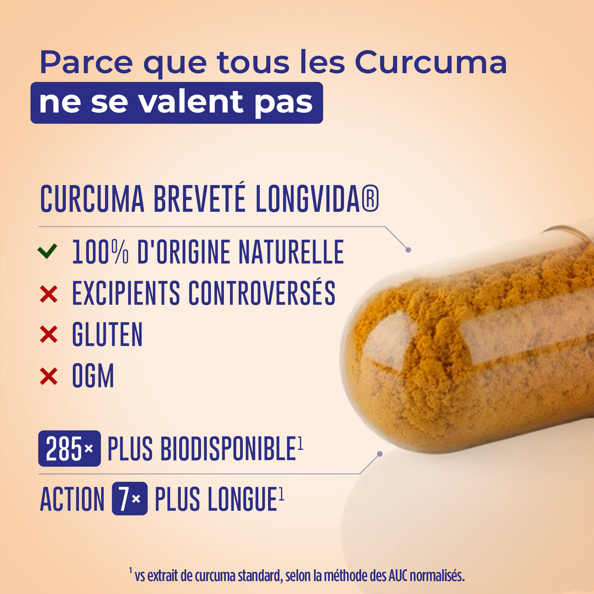 Curcuma Assimilable ®