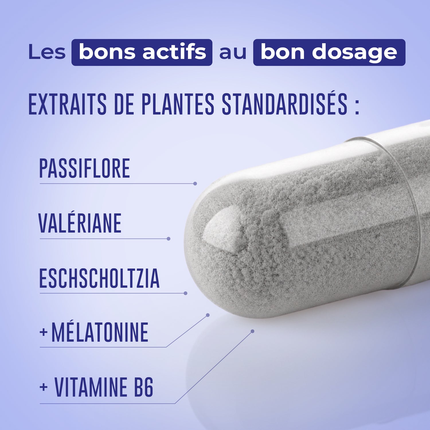 Sommeil