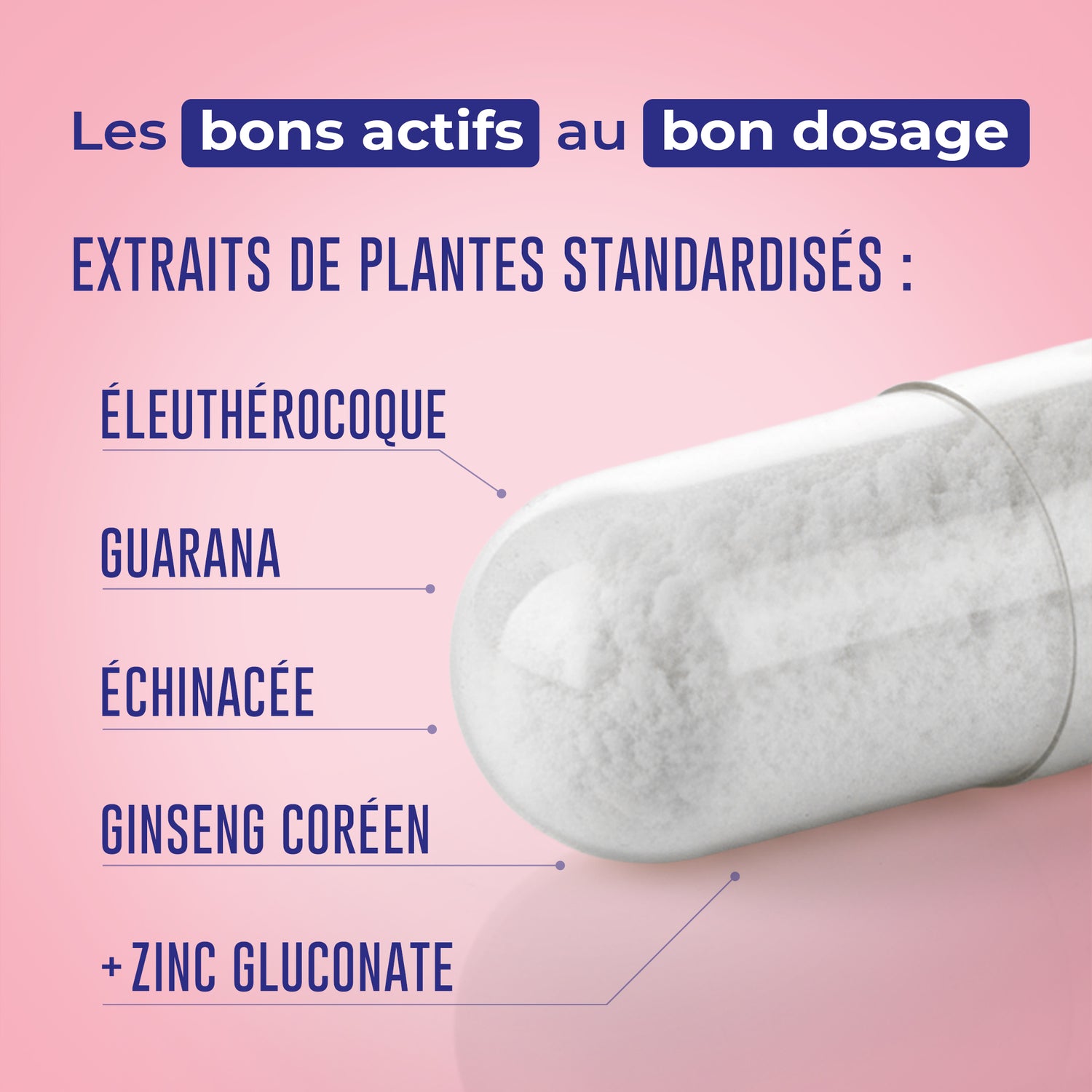 Vitalité &amp; Immunité