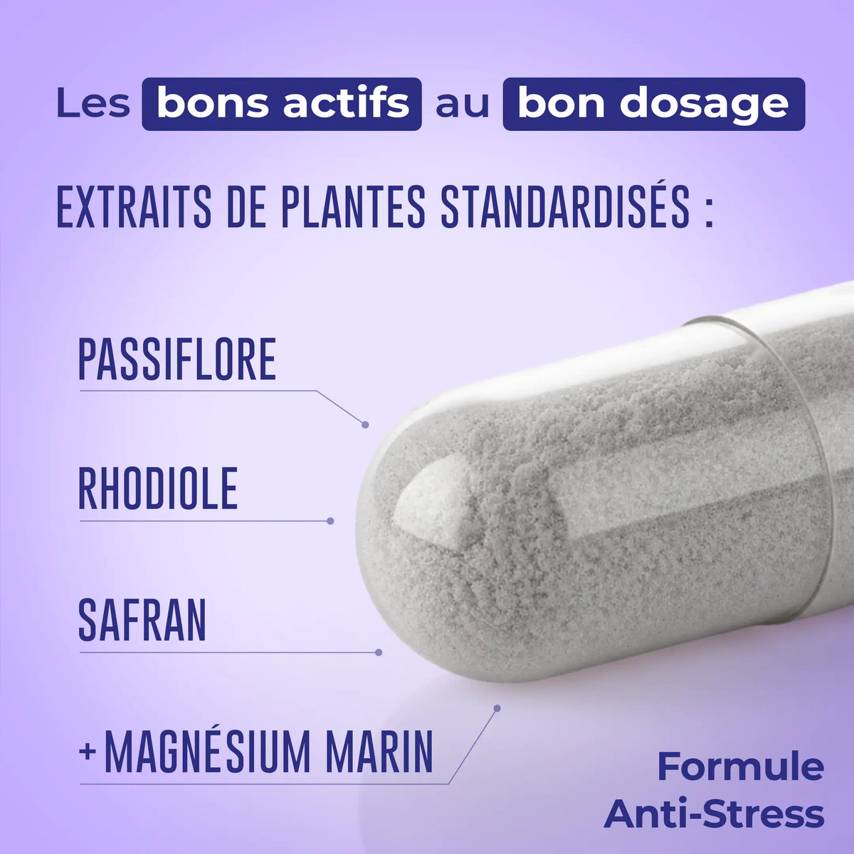 Anti-Stress – présentation de la formule