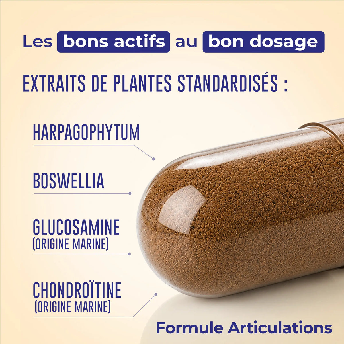 Articulations – présentation de la formule