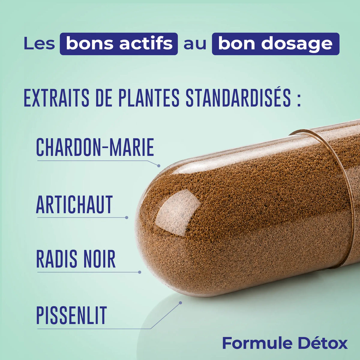 Détox – présentation de la formule