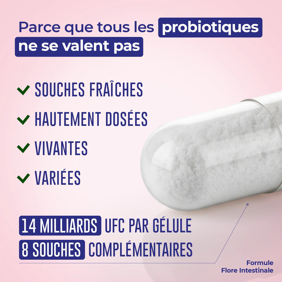 Flore Intestinale – présentation de la formule