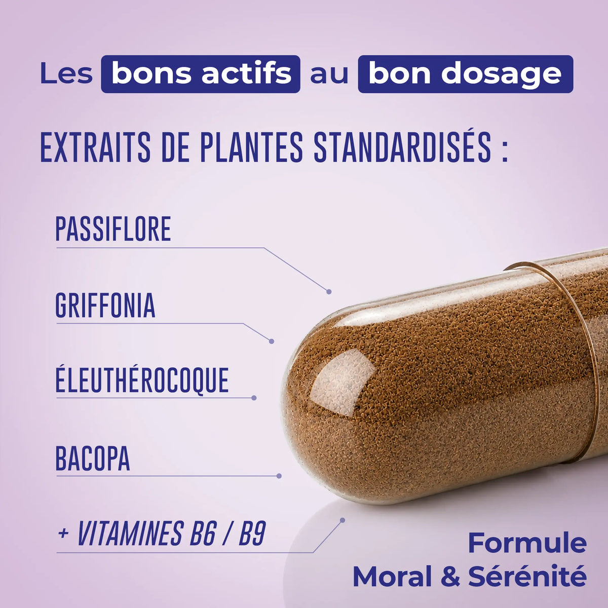 Moral & Sérénité – présentation de la formule