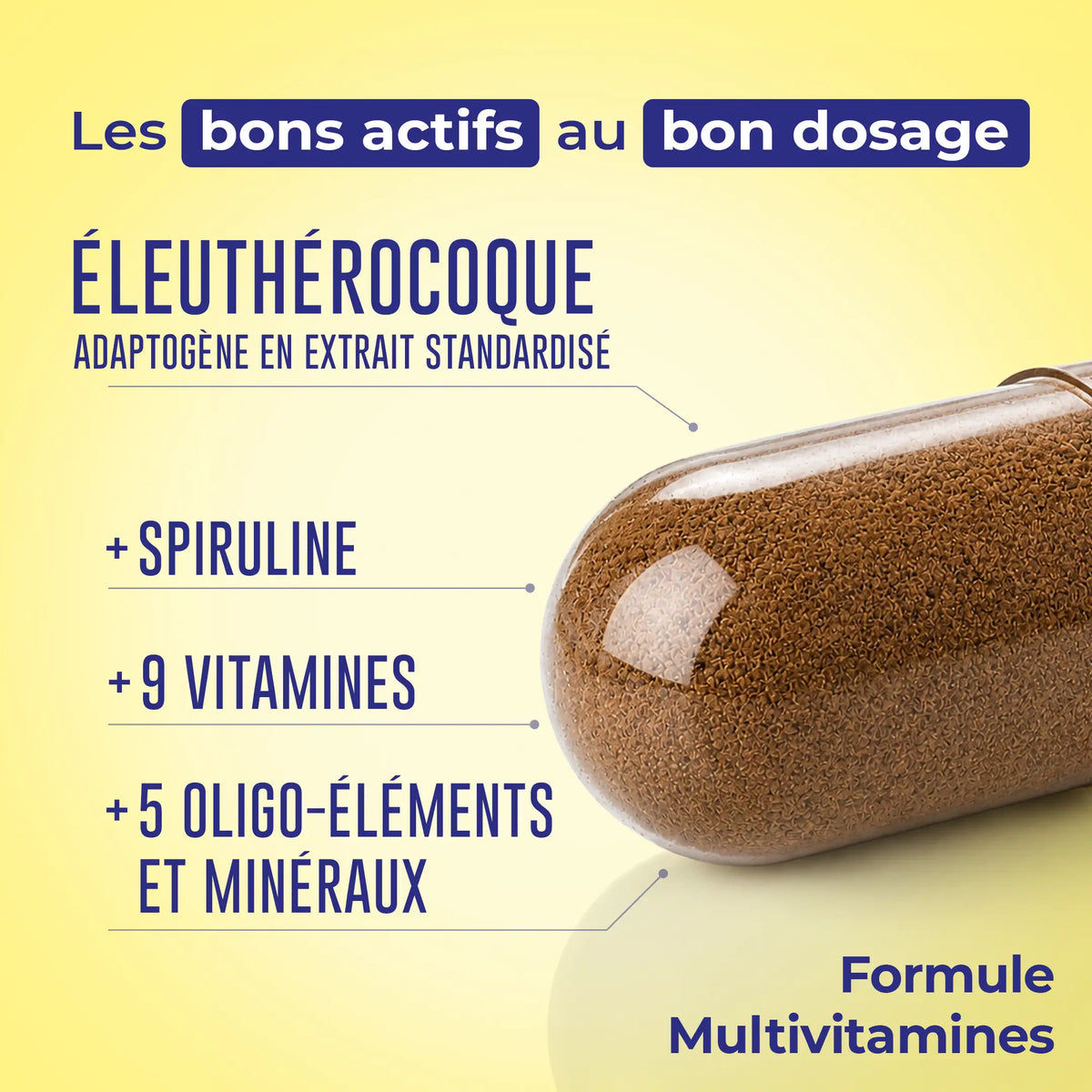 Multivitamines – présentation de la formule