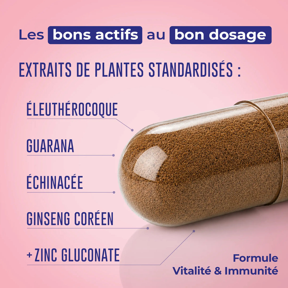 Vitalité & Immunité – présentation de la formule