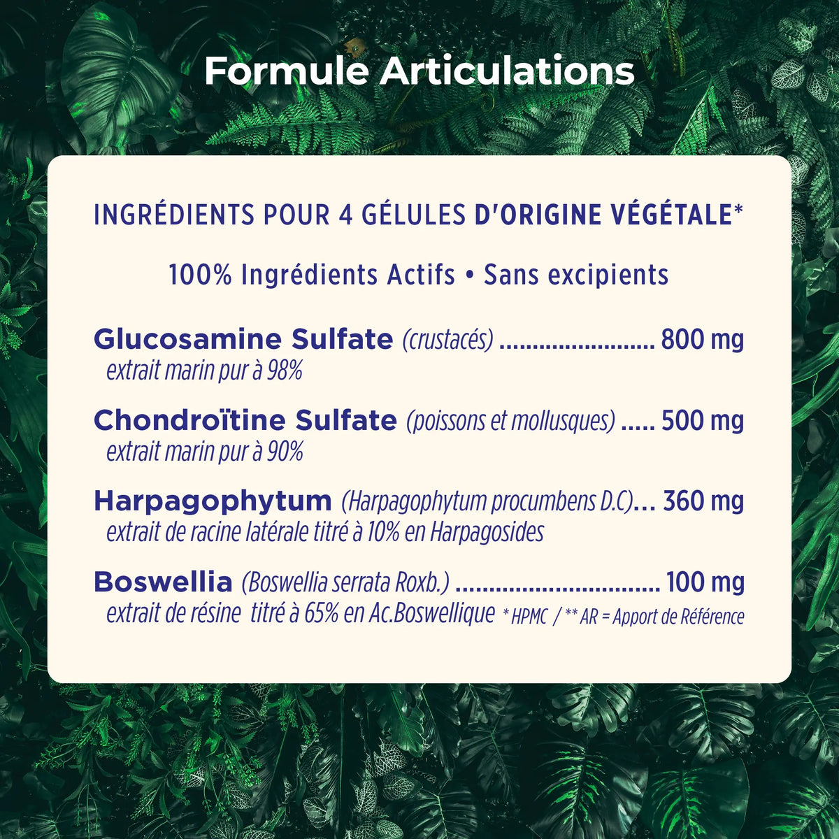 Duo Articulations – ingrédients et dosages