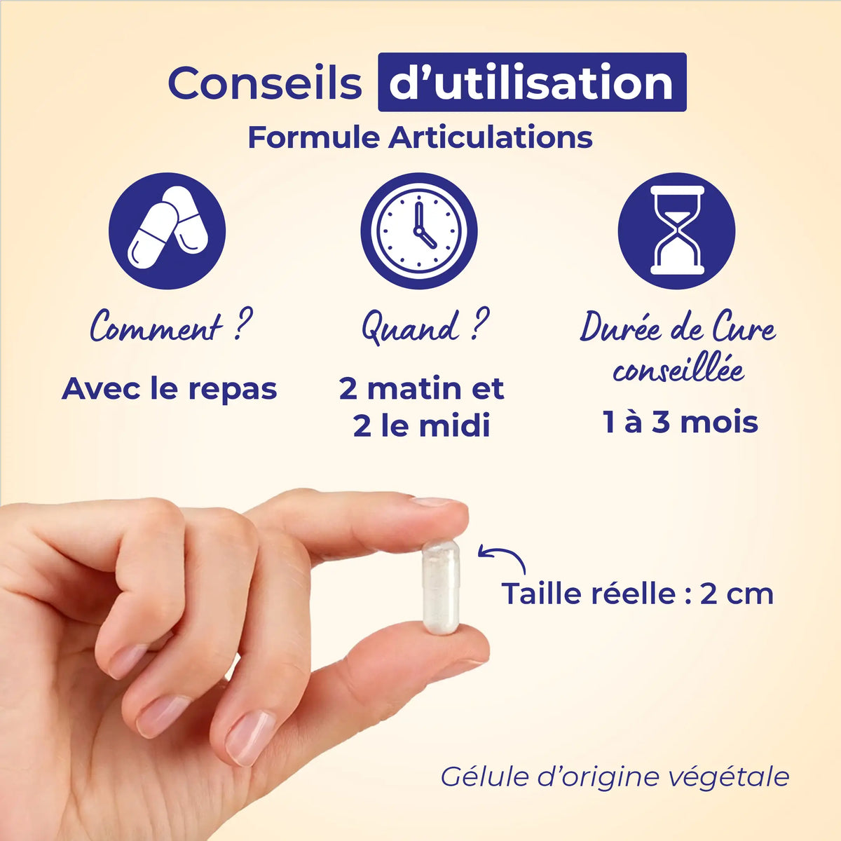Articulations – conseils d’utilisation