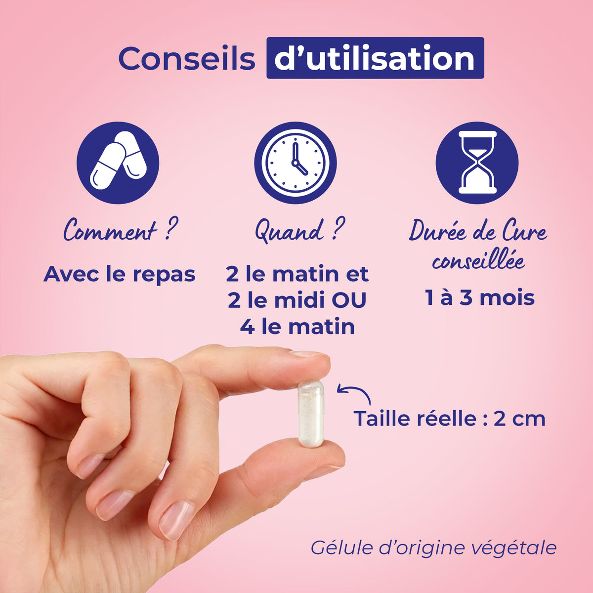 Vitalité &amp; Immunité