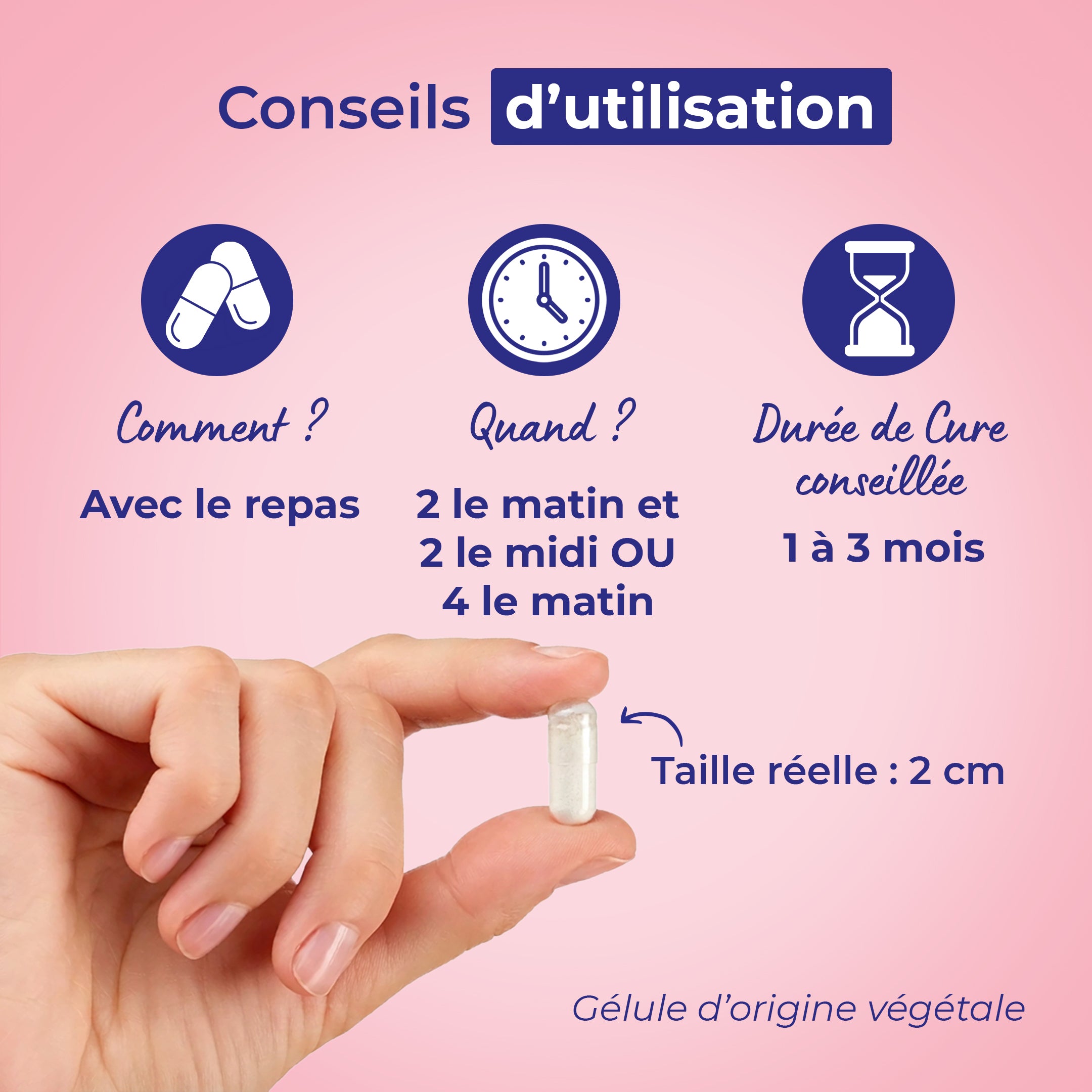 Vitalité &amp; Immunité