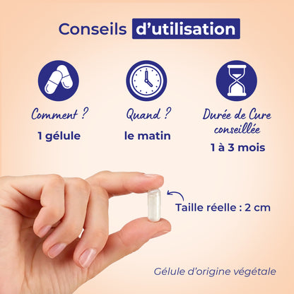 Vitamine C Assimilable