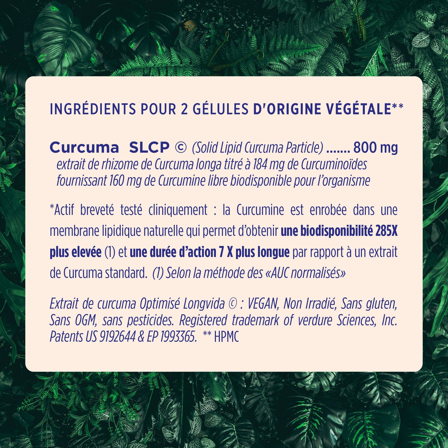 Curcuma Assimilable ®
