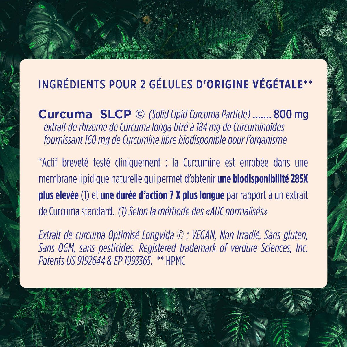 Curcuma Assimilable ®