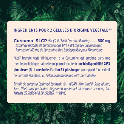 Curcuma Assimilable ®