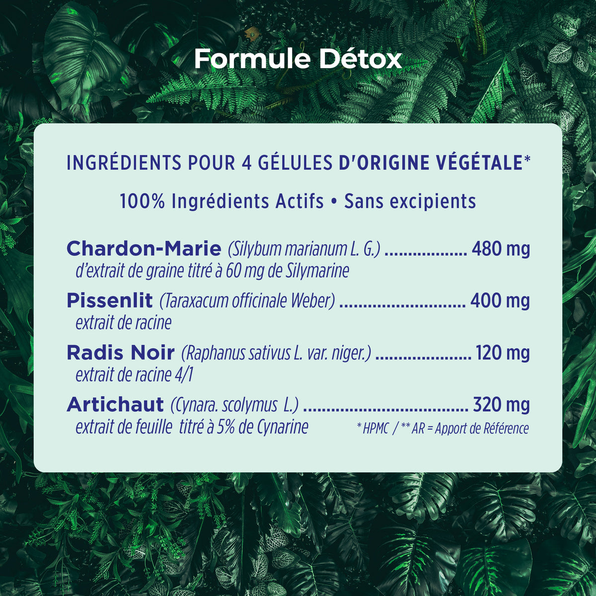 Détox – ingrédients et dosages