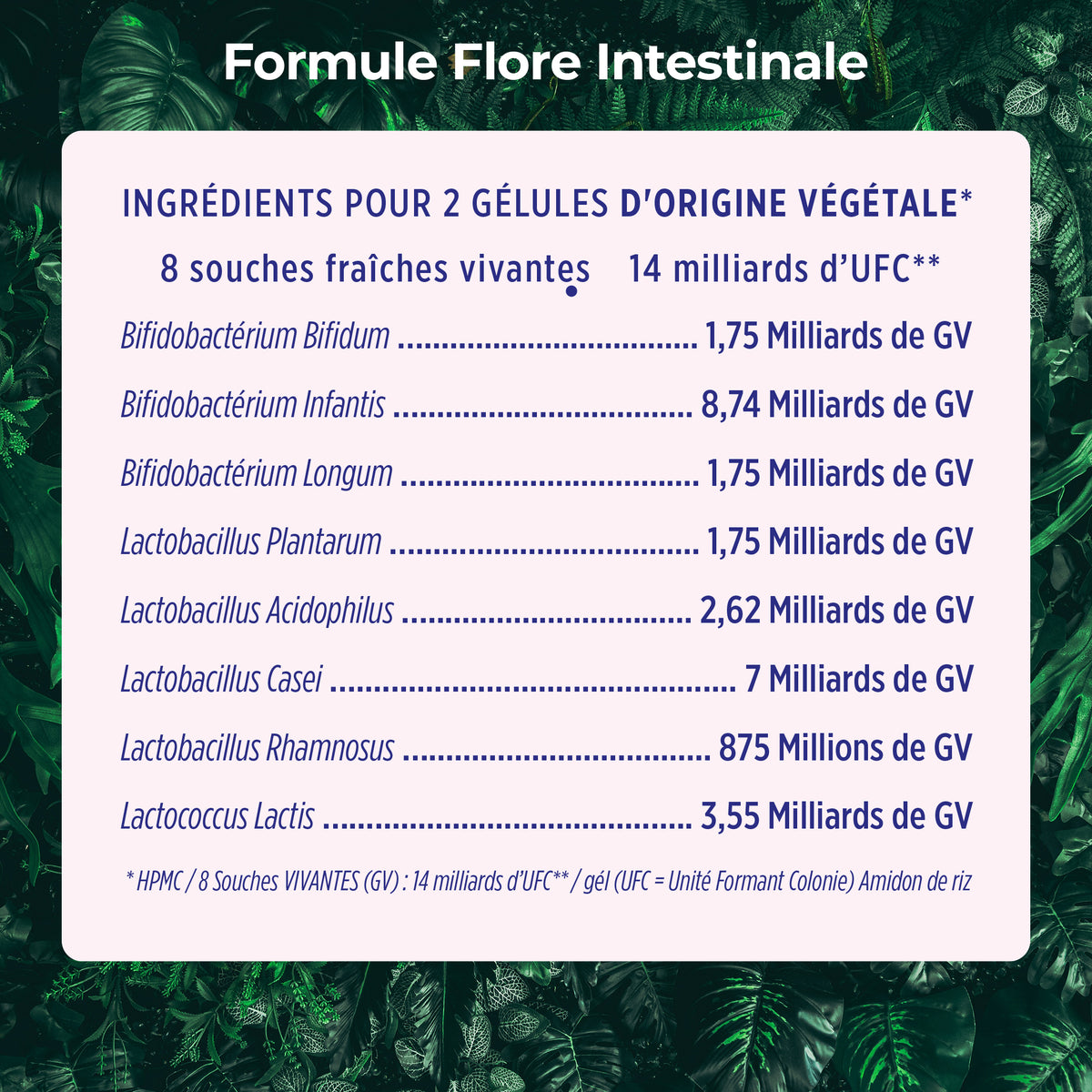 Flore Intestinale – ingrédients et dosages