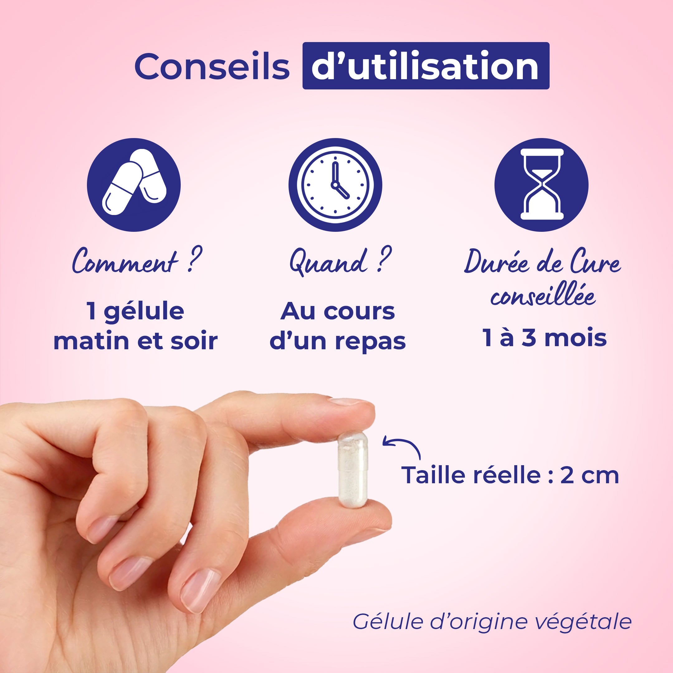 Acide Hyaluronique Assimilable ®