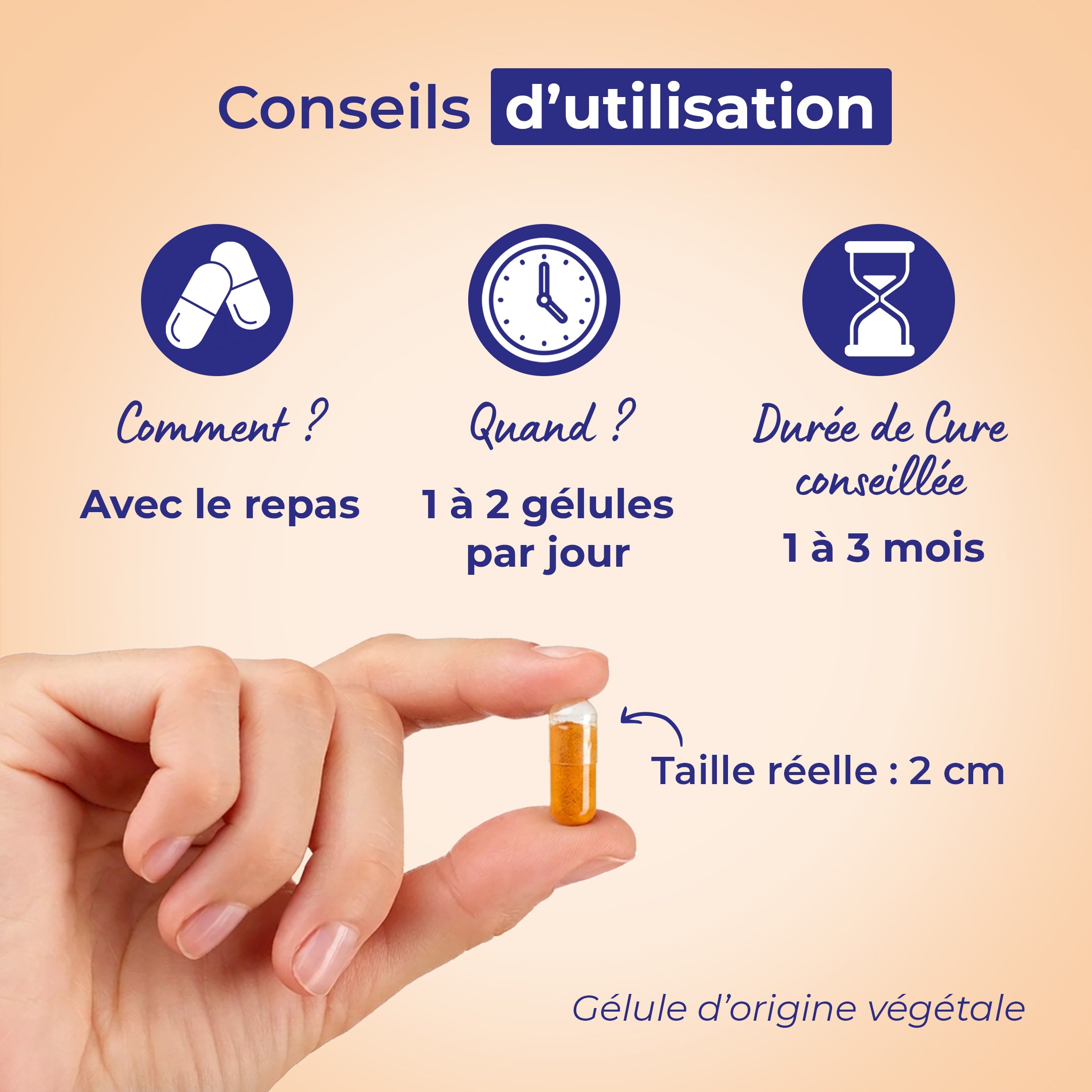 Curcuma Assimilable ®