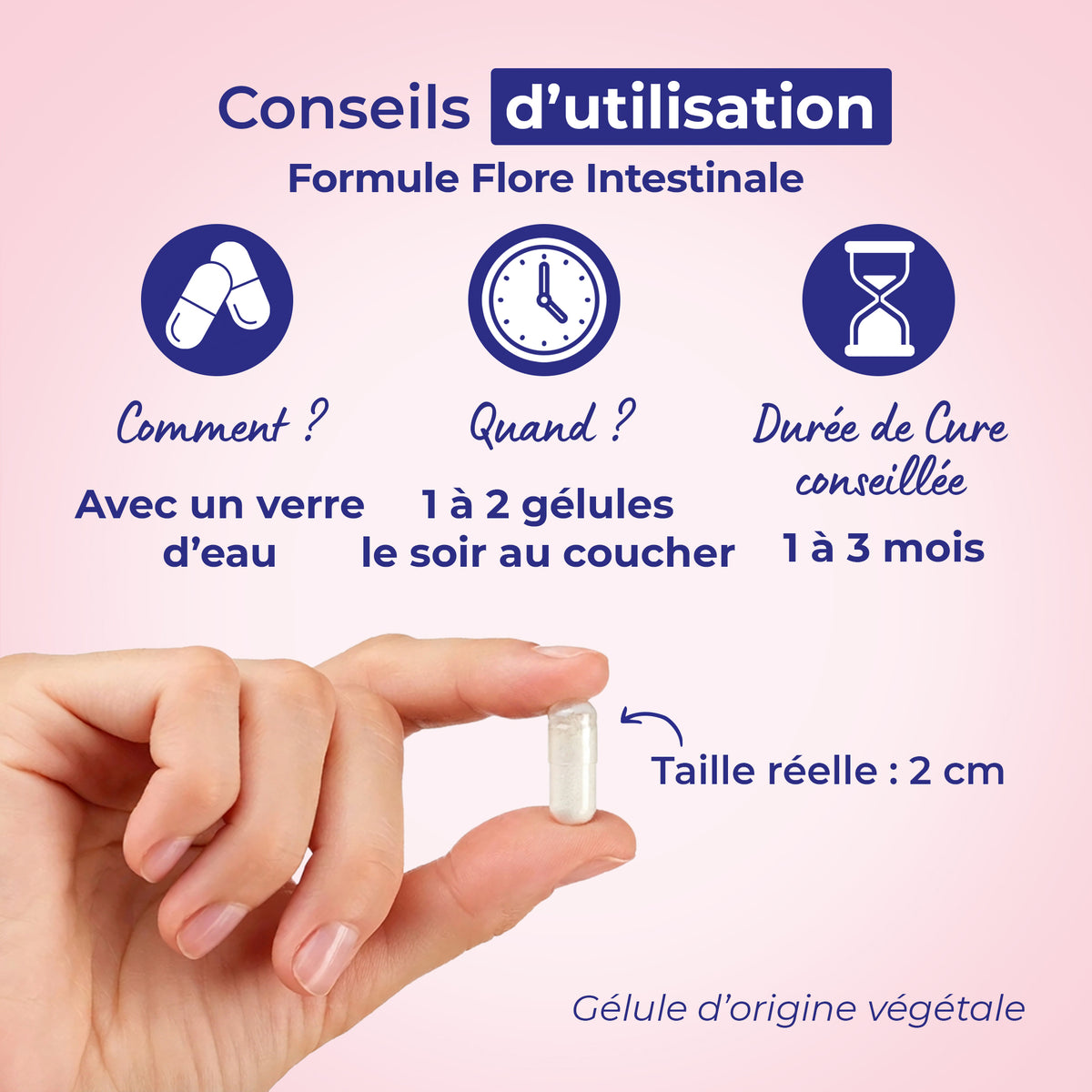 Flore Intestinale – conseils d’utilisation