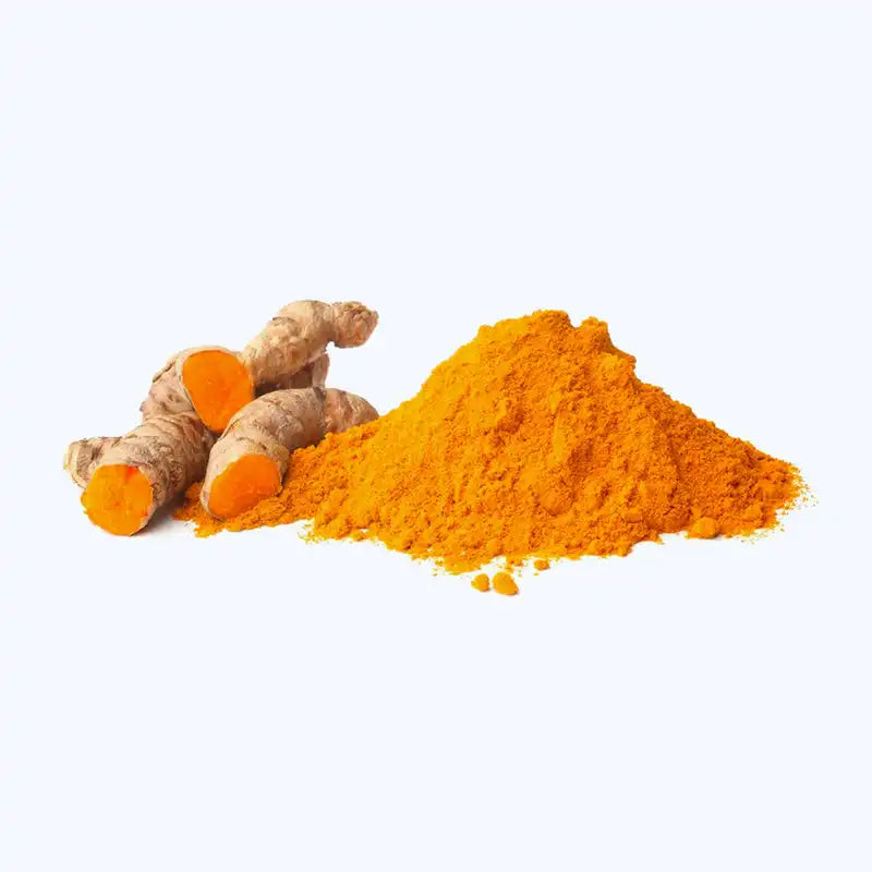 curcuma en racine et poudre